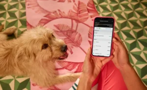 Openbank amplía la vigencia de sus promociones de bienvenida: cashback y meses sin intereses